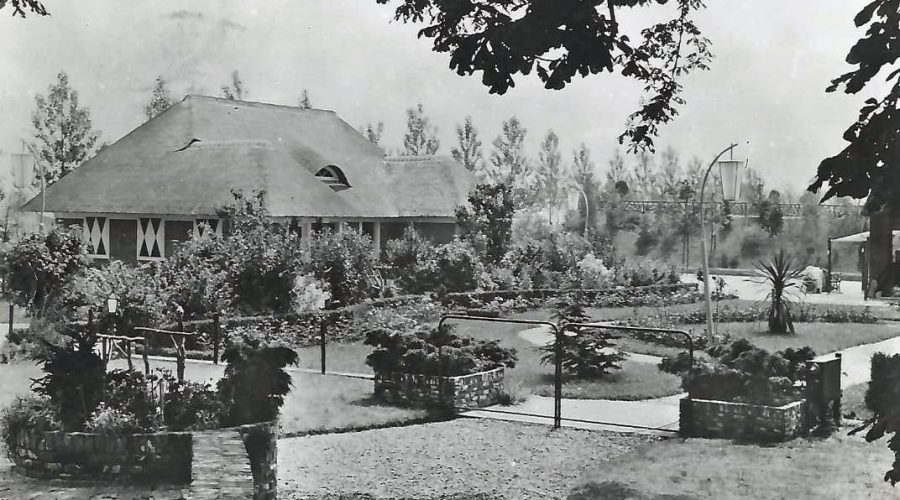 Het licht en Donkerhuis Avifauna 1950-1953