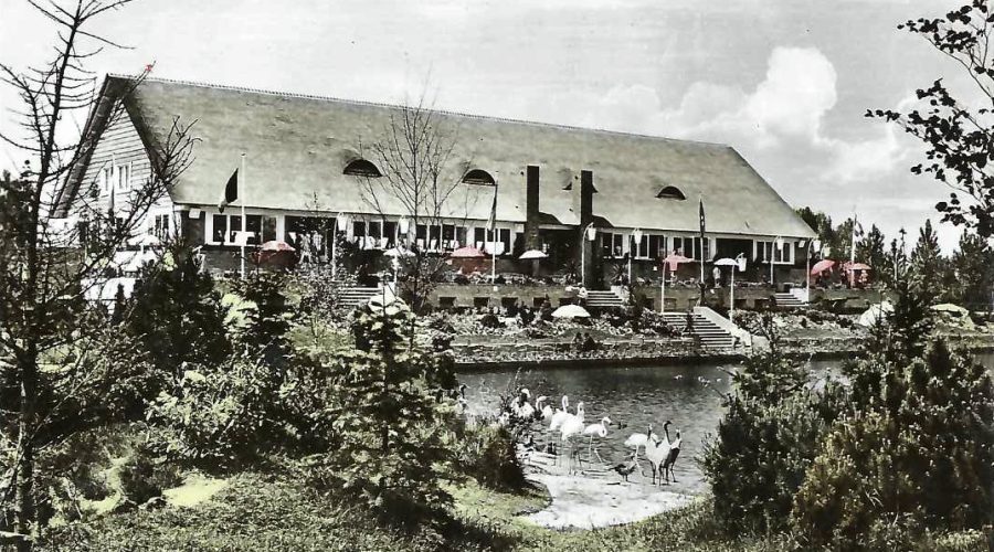 park restaurant Avifauna 1950