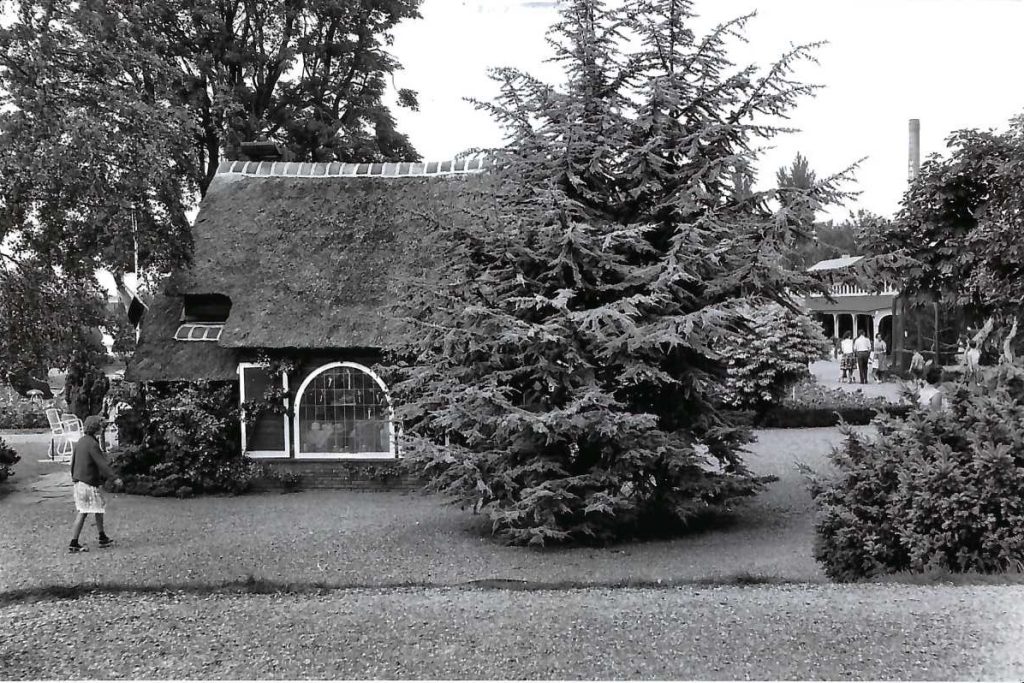 souvenirshuisje avifauna